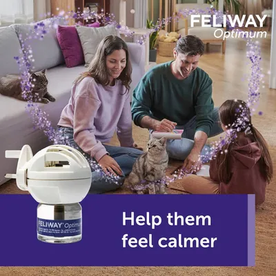 Feliway Optimum diffuser shown with cats and people in a living room, surrounded by calming effect graphics. Text reads: Help them feel calmer.