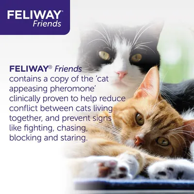 FELIWAY Friends contains a copy of the ‘cat appeasing pheromone’ clinically proven to help reduce conflict between cats living together and prevent signs like fighting, chasing, blocking and staring.