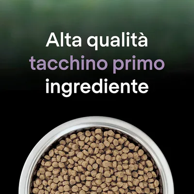 Alta qualità tacchino primo ingrediente, ciotola di crocchette marroni visibile in basso.