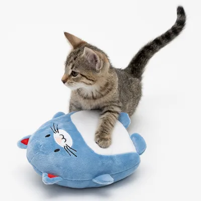 Klein katje speelt met een blauw pluchen speeltje in de vorm van een kat. Speeltje heeft rode oren en een geborduurd gezicht.
