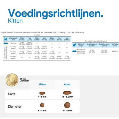 Voedingsschema voor kittens en volwassen katten met informatie over gewicht, hoeveelheid voer in gram en cup, evenals brokgroottes: dikte en diameter voor kittens en volwassenen. Voedingsschema voor kittens en volwassen katten met informatie over gewicht, hoeveelheid voer in gram en cup, evenals brokgroottes: dikte en diameter voor kittens en volwassenen.