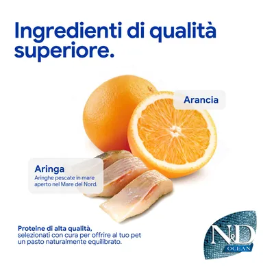 Componenti: arancia e aringa. Aringhe provenienti dal mare aperto del Mare del Nord. Proteine di alta qualità, selezionate con cura per un pasto naturalmente equilibrato. N&D Ocean. Componenti: arancia e aringa. Aringhe provenienti dal mare aperto del Mare del Nord. Proteine di alta qualità, selezionate con cura per un pasto naturalmente equilibrato. N&D Ocean.