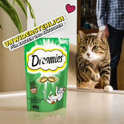 Dreamies Katzensnacks, 60g, unwiderstehlich für Katzen und Kätzchen, mit Katzenminze-Geschmack. Verpackung zeigt spielende Katze und Pflanze.