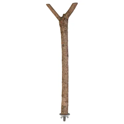 Natural wood perch with Y-shape and metal attachment, suitable for cage mounting.