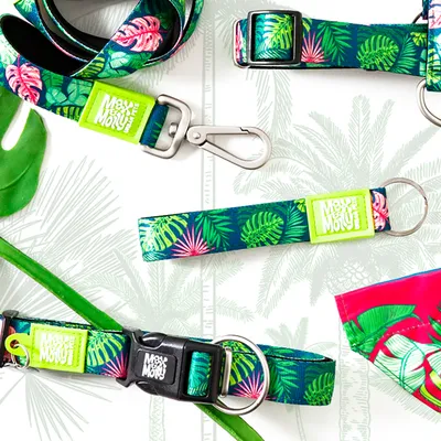 Ensemble de laisse, collier et porte-clés Max & Molly avec motifs feuilles vertes et roses, attaches en métal et plastique visibles, texte « Max & Molly Urban Pets » sur étiquette verte.