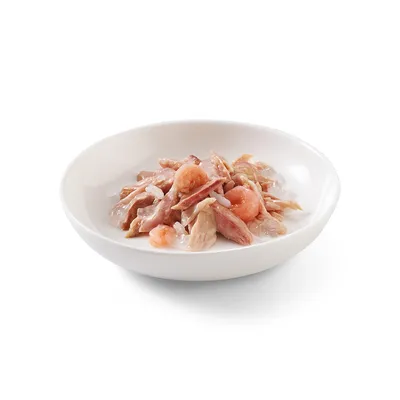 Assiette blanche contenant de la nourriture humide composée de morceaux de viande et de crevettes visibles, sans emballage ni marque apparente.