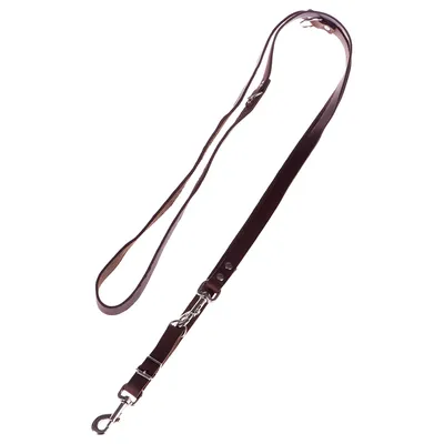 Laisse pour chien en cuir marron avec mousqueton métallique et boucles réglables visibles.