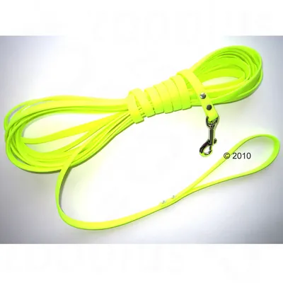 Longe pour chien en plastique jaune fluo avec mousqueton métallique et poignée, © 2010 visible sur l’image.