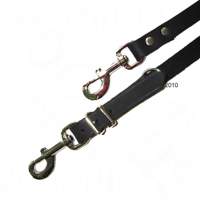 Laisse noire en cuir avec deux mousquetons métalliques et boucles réglables visibles, adaptée pour attacher un animal. Aucun texte ou marque visible sur la laisse.