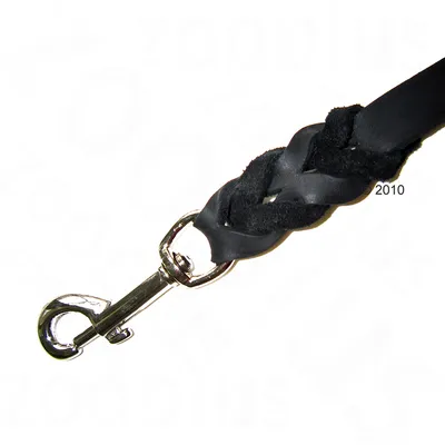 Close-up of a braided black leather lead with a metal clip attachment, showing connection detail for securing to a collar or harness.