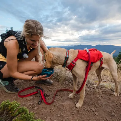 Hund med rött sele och koppel matas av en person som håller en liten väska. Utomhusmiljö med berg i bakgrunden.