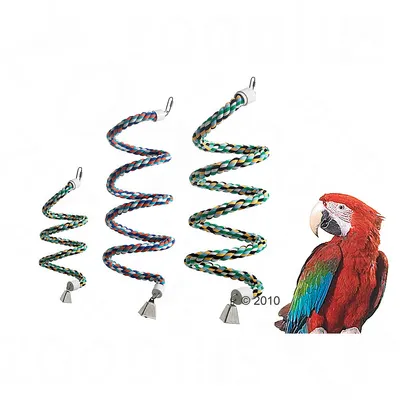 Quatre perchoirs spirale en corde multicolore avec clochettes métalliques, tailles croissantes, présentés à côté d’un grand perroquet rouge et vert. Mousquetons de fixation visibles.
