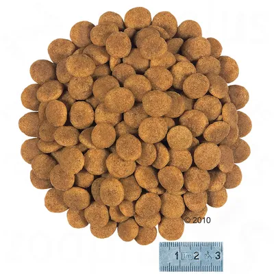 Okrugle smeđe granule suhe hrane za kućne ljubimce, prikazane u hrpi s ravnalom ispod koje pokazuje veličinu granula od približno 1 cm.