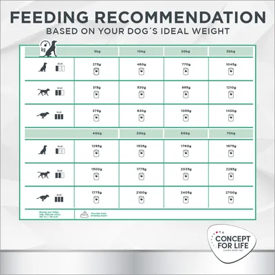 Concept for Life Veterinary Diet Hypoallergenic hest