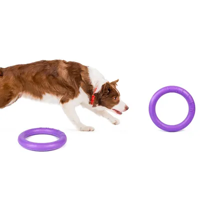 Dog playing with purple training ring. Two rings visible, one lying down and one standing. Product name 'Puller' embossed on ring.