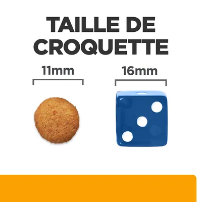 Taille de croquette : comparaison visuelle entre une croquette ronde de 11 mm et un dé bleu de 16 mm, texte inclus « TAILLE DE CROQUETTE »