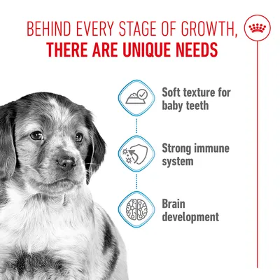 Behind every stage of growth, there are unique needs. Soft texture for baby teeth, strong immune system, brain development. Behind every stage of growth, there are unique needs. Soft texture for baby teeth, strong immune system, brain development.