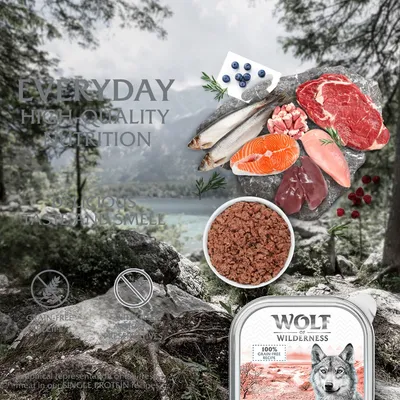 Image showing raw fish, meat, berries and herbs with text: everyday high quality nutrition, delicious taste and smell, grain-free, no artificial preservatives. Wolf of Wilderness product shown.