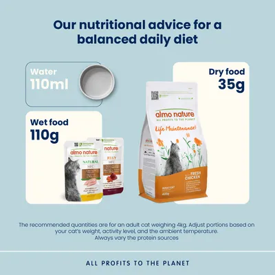 Almo Nature Holistic Chicken & Rice Kibble for Cats