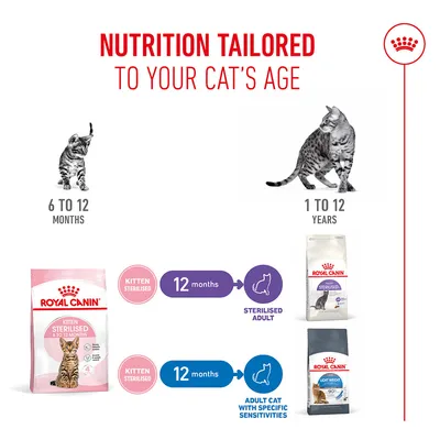 Royal Canin feeding recommendation: Kitten Sterilised 6–12 months, from 12 months switch to Sterilised Adult or Light Weight Care for sensitive adult cats.