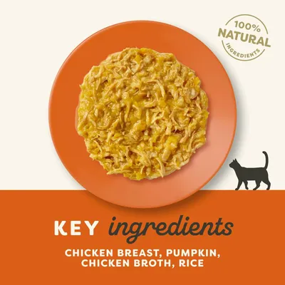 100% NATURAL INGREDIENTS. Kluczowe składniki: chicken breast, pumpkin, chicken broth, rice. Widoczny talerz z karmą dla kota.