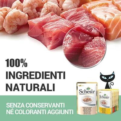 100% ingredienti naturali. Senza conservanti né coloranti aggiunti. Schesir. Tonnetto con salmone. Immagine di pesce crudo e confezioni di alimento per gatti.