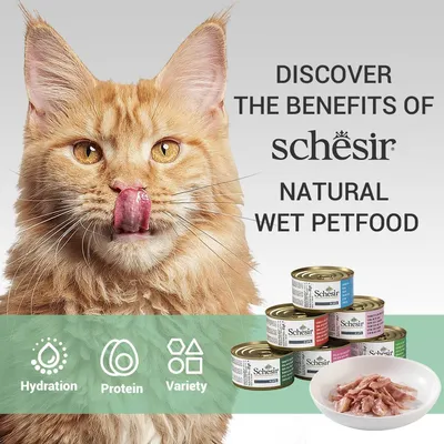 Schesir Natural Wet Petfood, blikjes natvoer en schaaltje vlees. Tekst: Discover the benefits of Schesir Natural Wet Petfood. Pictogrammen met tekst: Hydration, Protein, Variety.