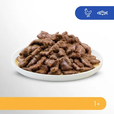 Prato com pedaços de comida húmida para animais. Ícones de frango e peixe no canto superior direito. Faixa amarela com indicação de idade 1+ no canto inferior direito.