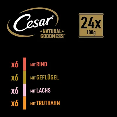 Cesar Natural Goodness. Packung mit 24x100g: 6x mit Rind, 6x mit Geflügel, 6x mit Lachs, 6x mit Truthahn.