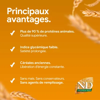 Plus de 90 % de protéine animale, indice glycémique bas, anciennes variétés de céréales, sans maïs, conservateurs ni agents de remplissage. N&D Ancestral Grain. Plus de 90 % de protéine animale, indice glycémique bas, anciennes variétés de céréales, sans maïs, conservateurs ni agents de remplissage. N&D Ancestral Grain.
