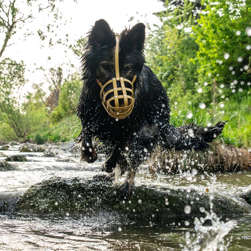 COLORI® Maulkorb Schäferhund M, hellbraun