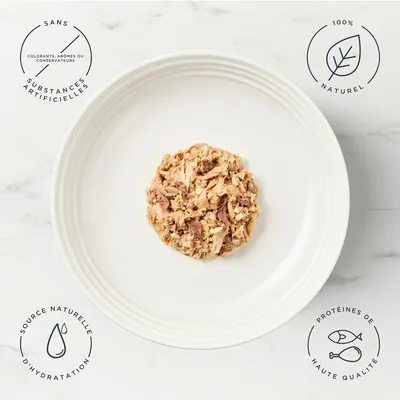 Encore 16 x 70 g boîtes pour chat