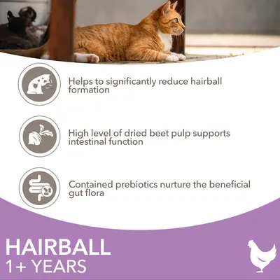 Key benefits: reduces hairball formation, dried beet pulp supports intestinal function, prebiotics nurture beneficial gut flora. Suitable for hairball control for pets aged 1+ years.