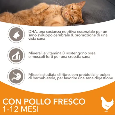 Con pollo fresco 1-12 mesi. DHA per sviluppo cerebrale e vista, minerali e vitamina D per ossa e muscoli forti, fibre con prebiotici e polpa di barbabietola per digestione sana.