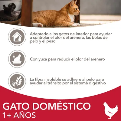 GATO DOMÉSTICO 1+ AÑOS. Adaptado a gatos de interior para controlar olor del arenero, bolas de pelo y peso. Con yuca y fibra insoluble para reducir olores y ayudar al tránsito digestivo.