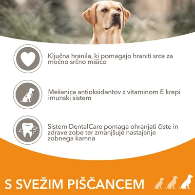 Ključna hranila za srce, antioksidanti z vitaminom E za imunski sistem, DentalCare za čiste in zdrave zobe. S svežim piščancem.