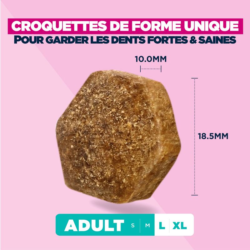 Eukanuba Premium Nutrition Adult Large et Giant Breed au poulet