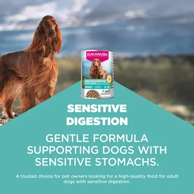 Eukanuba Sensitive Digestion Adult S-XL, hellävarainen resepti koirille, joilla on herkkä vatsa. Laadukas ruoka aikuisille koirille, joilla on herkkä ruoansulatus. Eukanuba Sensitive Digestion Adult S-XL, hellävarainen resepti koirille, joilla on herkkä vatsa. Laadukas ruoka aikuisille koirille, joilla on herkkä ruoansulatus.