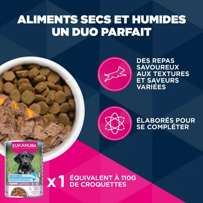 Eukanuba Premium Nutrition Junior Large et Giant Breed au poulet