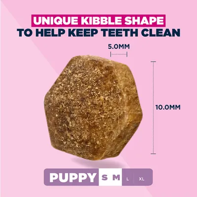 Eukanuba Premium Nutrition Puppy Small & Medium Breed karitsa & riisi