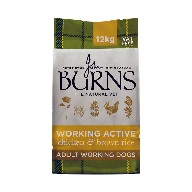 Burns Working Active - Chicken & Rice