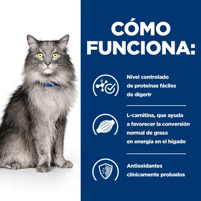CÓMO FUNCIONA: Nivel controlado de proteínas fáciles de digerir. L-carnitina, que ayuda a favorecer la conversión normal de grasa en energía en el hígado. Antioxidantes clínicamente probados.