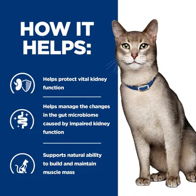 How it helps: protects vital kidney function, manages gut microbiome changes from impaired kidney function, supports natural ability to build and maintain muscle mass.