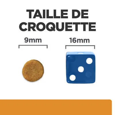 Taille de croquette : comparaison visuelle entre une croquette ronde de 9 mm et un dé bleu de 16 mm, texte « TAILLE DE CROQUETTE » en haut de l’image.