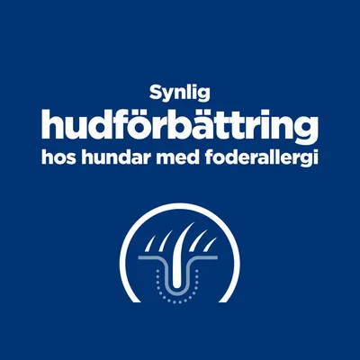 Synlig hudförbättring hos hundar med foderallergi