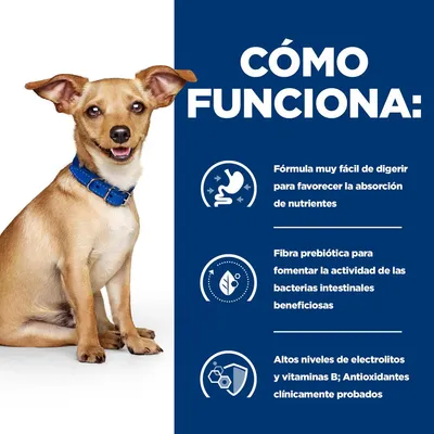 Texto: Cómo funciona. Fórmula muy fácil de digerir para favorecer la absorción de nutrientes. Fibra prebiótica para fomentar la actividad de las bacterias intestinales beneficiosas. Altos niveles de electrolitos y vitaminas B; Antioxidantes clínicamente probados. Texto: Cómo funciona. Fórmula muy fácil de digerir para favorecer la absorción de nutrientes. Fibra prebiótica para fomentar la actividad de las bacterias intestinales beneficiosas. Altos niveles de electrolitos y vitaminas B; Antioxidantes clínicamente probados.