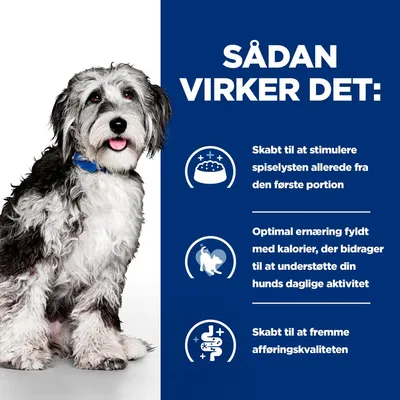 SÅDAN VIRKER DET: Skabt til at stimulere spiselysten allerede fra den første portion. Optimal ernæring fyldt med kalorier, der bidrager til at understøtte din hunds daglige aktivitet. Skabt til at fremme afføringskvaliteten.
