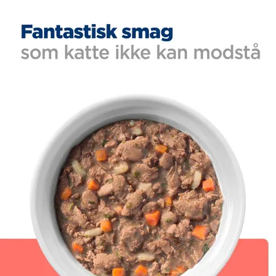 Fantastisk smag som katte ikke kan modstå. Skål med vådfoder til kat, synlige stykker kød og grøntsager.