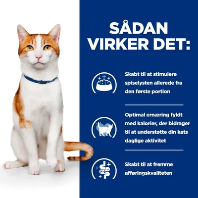 SÅDAN VIRKER DET: Skabt til at stimulere spiselysten allerede fra den første portion. Optimal ernæring fyldt med kalorier, der bidrager til at understøtte din kats daglige aktivitet. Skabt til at fremme afføringskvaliteten.