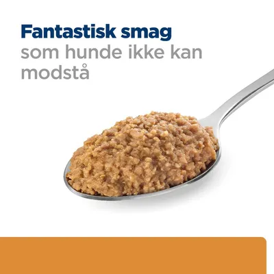 Fantastisk smag som hunde ikke kan modstå, skrift over en ske med vådfoder til hunde.